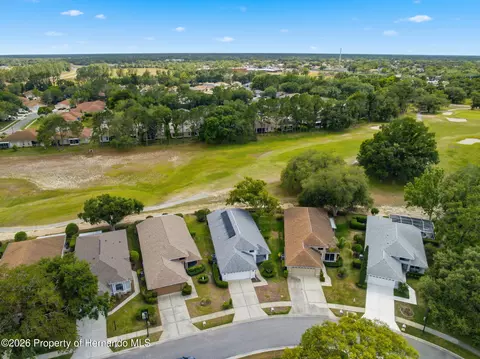 View/Area - 14458 Tamarind Loop, Spring Hill, FL 34609 photo 4 of 18