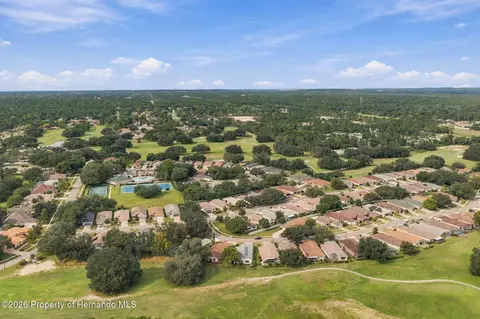 View/Area - 14458 Tamarind Loop, Spring Hill, FL 34609 photo 9 of 14