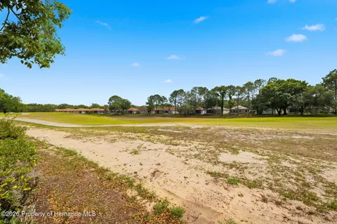 View/Area - 14458 Tamarind Loop, Spring Hill, FL 34609 photo 6 of 18