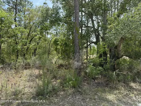00 Snow Goose Ave, Weeki Wachee, FL 34614