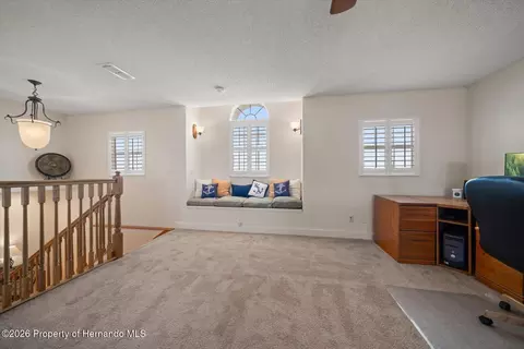 Other - 3397 Bluefish Dr, Hernando Beach, FL 34607 photo 4 of 9