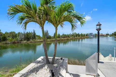 View/Area - 3397 Bluefish Dr, Hernando Beach, FL 34607 photo 3 of 8