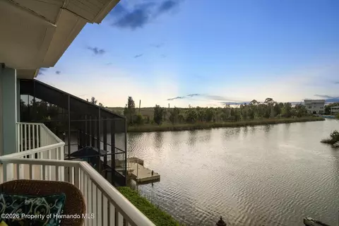 View/Area - 3397 Bluefish Dr, Hernando Beach, FL 34607 photo 8 of 8