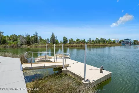 View/Area - 3397 Bluefish Dr, Hernando Beach, FL 34607 photo 6 of 8