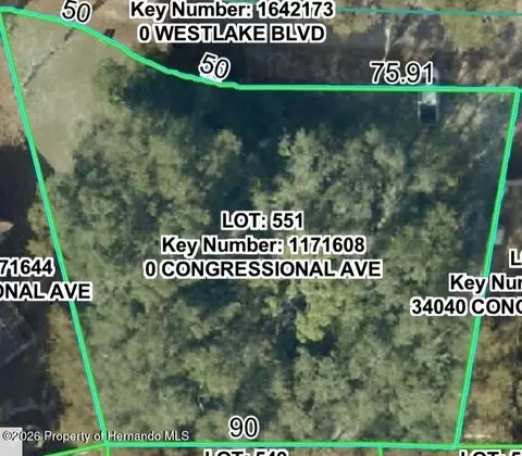 34036 Congressional Ave, Dade City, FL 33523