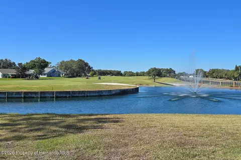 View/Area - 11718 Wheatfield Loop, Hudson, FL 34667 photo 6 of 6