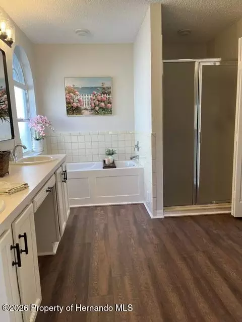 Bath - 11718 Wheatfield Loop, Hudson, FL 34667 photo 4 of 6