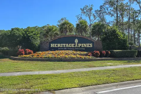 View/Area - 11718 Wheatfield Loop, Hudson, FL 34667 photo 4 of 6