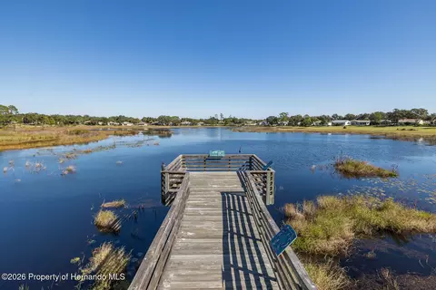 View/Area - 11718 Wheatfield Loop, Hudson, FL 34667 photo 5 of 6