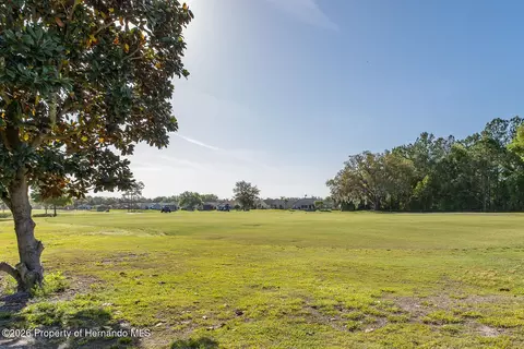 Other - 11718 Wheatfield Loop, Hudson, FL 34667 photo 16 of 23