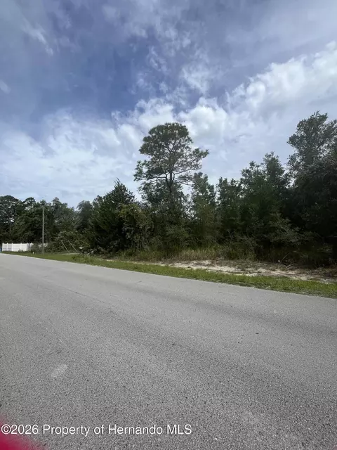 0 Little Ranch Rd, Shady Hills, FL 34610