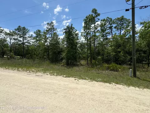 0 Scaup Duck Ave, Weeki Wachee, FL 34614