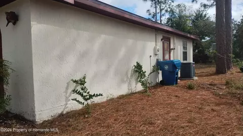 Other - 11300 Timbercrest Rd, Spring Hill, FL 34608 photo 3 of 9