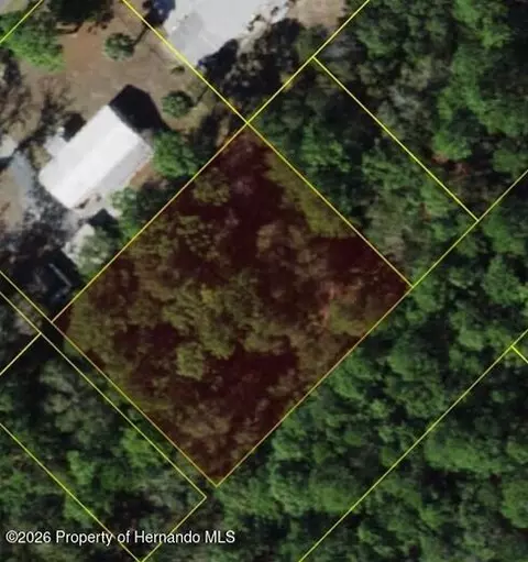 7941 W Ox Eye Pl, Homosassa, FL 34448