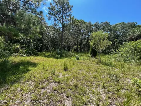 18904 Craig Loop, Hudson, FL 34667 photo 13