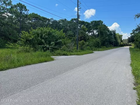 18904 Craig Loop, Hudson, FL 34667 photo 12