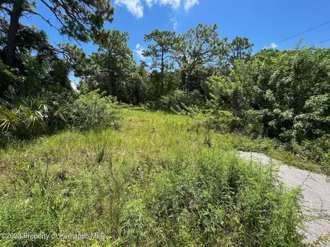 18904 Craig Loop, Hudson, FL 34667 photo 14