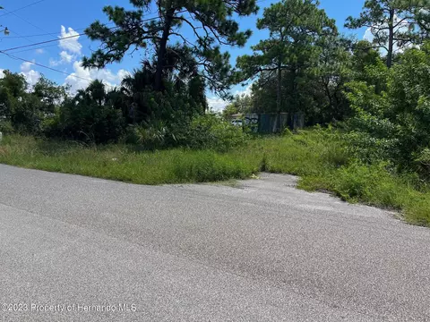 18904 Craig Loop, Hudson, FL 34667 photo 11