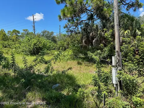 18904 Craig Loop, Hudson, FL 34667 photo 9