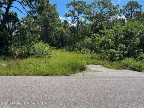 18904 Craig Loop, Hudson, FL 34667 photo 8