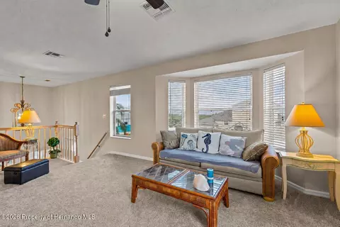 Other - 3302 Turks Cap Dr, Hernando Beach, FL 34607 photo 9 of 14