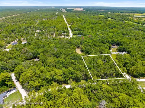 0 Ricebird Ave, Weeki Wachee, FL 34614