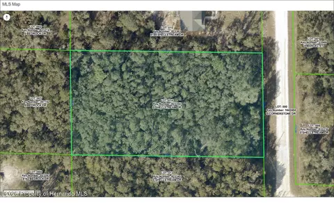 8179 Shellstream Dr, Webster, FL 33597