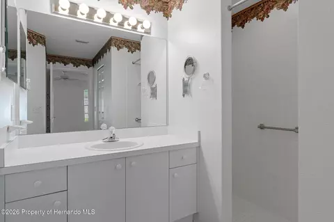 Bath - 7343 Willow Brook Dr, Spring Hill, FL 34606 photo 1 of 4