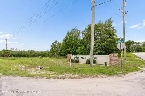 0 County Line Rd, Spring Hillpasco, FL 34610 photo 14