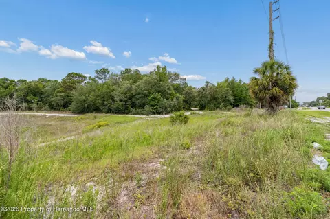 0 County Line Rd, Spring Hillpasco, FL 34610 photo 15