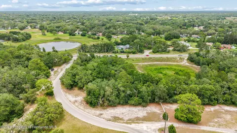 0 County Line Rd, Spring Hillpasco, FL 34610 photo 13