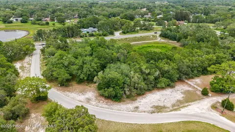 0 County Line Rd, Spring Hillpasco, FL 34610 photo 12