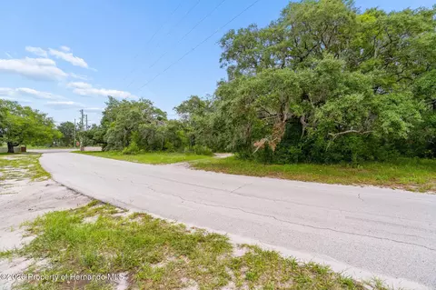 0 County Line Rd, Spring Hillpasco, FL 34610 photo 18