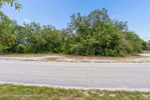 0 County Line Rd, Spring Hillpasco, FL 34610 photo 19
