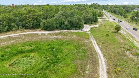 0 County Line Rd, Spring Hillpasco, FL 34610 photo 10