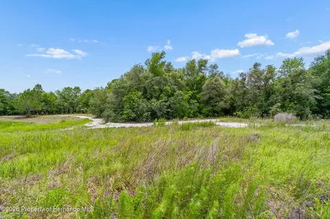 0 County Line Rd, Spring Hillpasco, FL 34610 photo 17