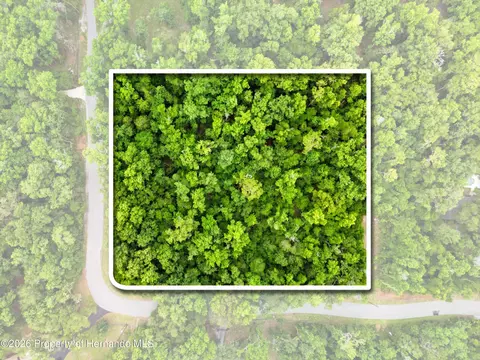 0 Withrow Rd, Brooksville, FL 34601
