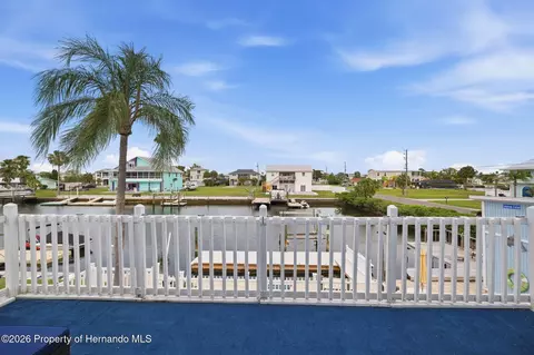 View/Area - 4262 Paradise Cir, Hernando Beach, FL 34607 photo 2 of 18