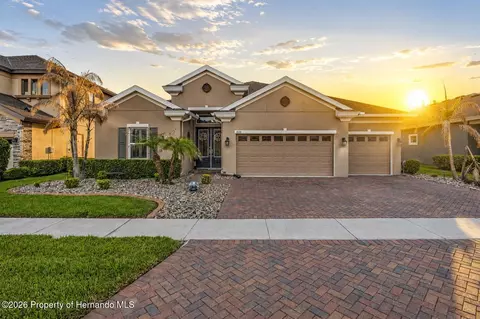 8142 Water Color Dr, Land O'lakes, FL 34638