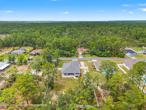 11153 Wood Owl Ave, Weeki Wachee, FL 34614