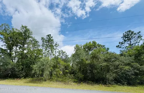 lot4 Wood Owl Ave, Weeki Wachee, FL 34614