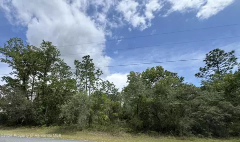 lot5 Wood Owl Ave, Weeki Wachee, FL 34614
