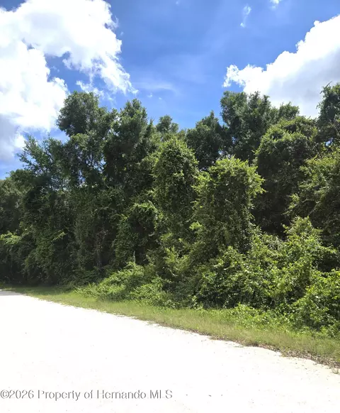 0 Alloy St, Webster, FL 33597 photo 5