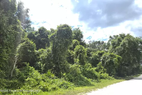 0 Alloy St, Webster, FL 33597 photo 4