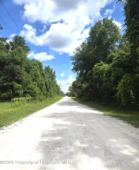 0 Alloy St, Webster, FL 33597 photo 7