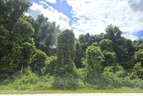 0 Alloy St, Webster, FL 33597 photo 2