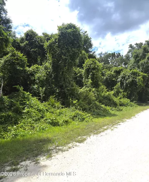 0 Alloy St, Webster, FL 33597 photo 6