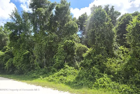 0 Alloy St, Webster, FL 33597 photo 3