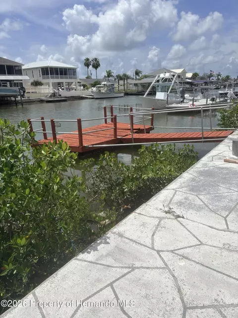 View/Area - 4235 Tahiti Dr, Hernando Beach, FL 34607 photo 1 of 1