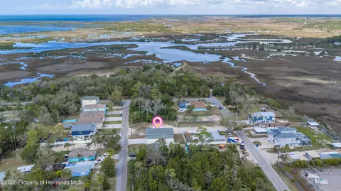 0 Oak Leaf Ln, Hernando Beach, FL 34607 photo 6